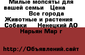 Милые мопсяты для вашей семьи › Цена ­ 20 000 - Все города Животные и растения » Собаки   . Ненецкий АО,Нарьян-Мар г.